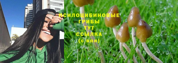 твердый Гусь-Хрустальный