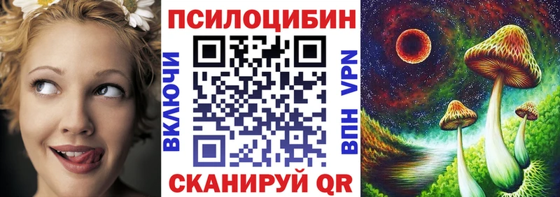 Псилоцибиновые грибы Psilocybe  купить закладку  Дмитровск 